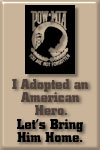 pow/mia