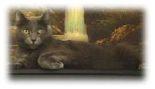 Chico..Click to see Our Feline Page's