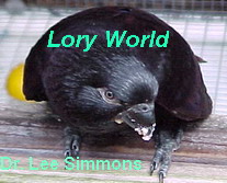 Lory Care & Great Info. Dr. Lee Simmons