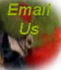 Send Us an E-mail