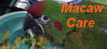  "Macaw World" Macaw Info & More..Dr. Lee Simmons