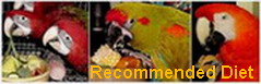 Great for all types of Parrot's (modify for size & species) By: Megan & Dr.Lee