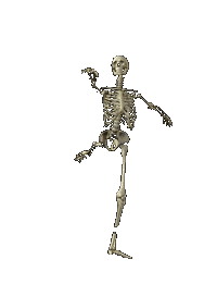 watch the dancing gay skeletons in Glensea