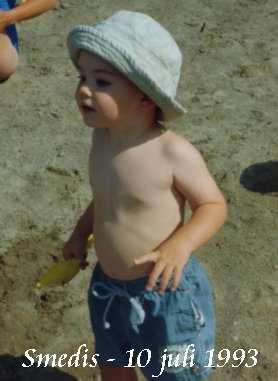 I Smedis - 10 juli 93