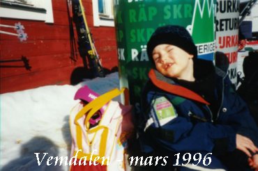 Vemdalen i �r ox�
