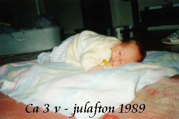 Julafton - den sov jag bort :-)
