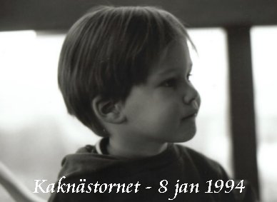 �r uppe i Kakn�stornet