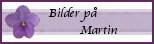 Martins foton