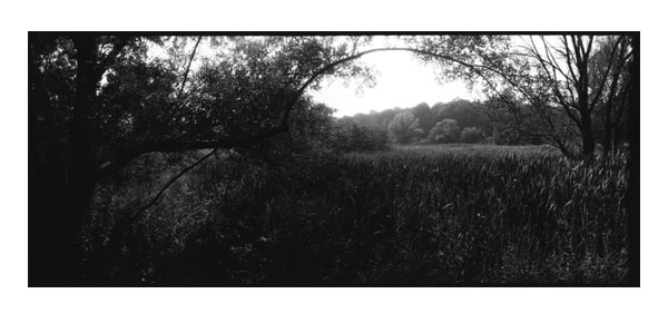 Arnold Arboretum, Boston, MA, 1991