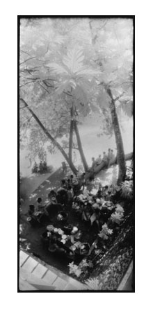 Picnic, Jamaica, 1983