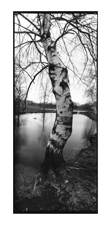 Back Bay Fens, Boston, MA, 1992
