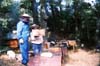 Fonso en el colmenar. Foto enviada por Fonso Pe�a