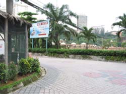 Panoramic Photo Tutorial