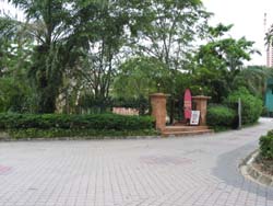 Panoramic Photo Tutorial