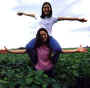 La Sole Homepage