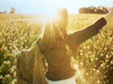 La Sole Homepage