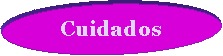 Elipse: Cuidados