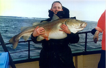 Min PR torsk 17,5 kg fra resund marts 2000