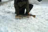 kim030111b.jpg (56941 byte)