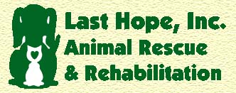 Last Hope Logo