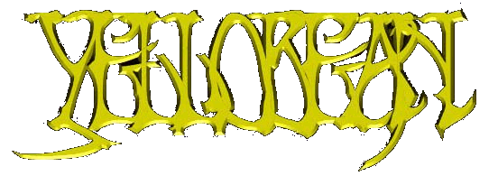 enter the official yellobean website