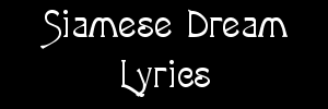 sdreaml.gif (3085 bytes)