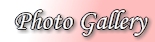 Photo Gallery