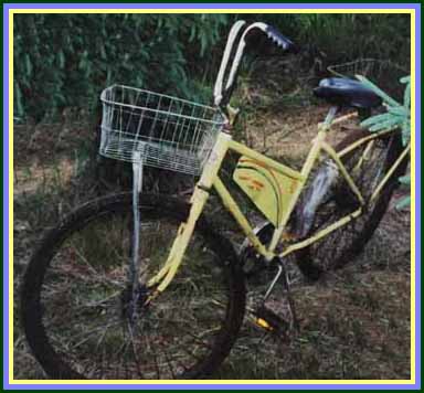 Rainbowsupplybike.JPG (23735 bytes)
