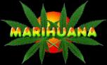 Marihuana