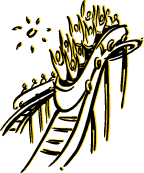 Roller Coaster