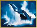 WHALES TAIL - Lassen