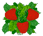 Strawberry Patch