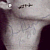 John's autograph