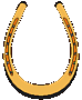 Good luck horseshoe