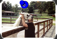Mama and the llama