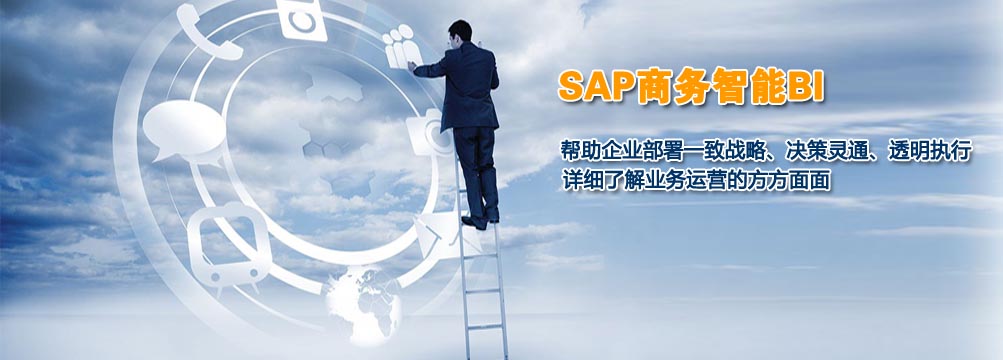 SAP�����������ܷ������������һƷ��