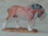 bay roan