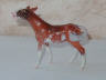 red roan