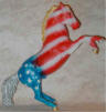 flag fighter