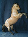buckskin
