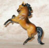 dark buckskin