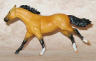 buckskin