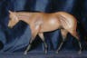 buckskin
