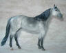 dappled steel grey