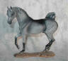 dappled grey
