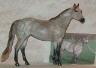 dappled rose grey