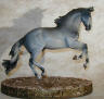 dappled grey