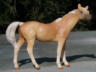 palomino