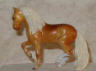palomino
