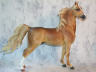 dappled palomino